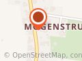 Søstjernen