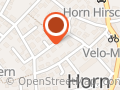 Narrenverein Heufresserzunft Horn e.V