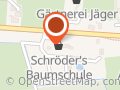 Weihnachtsbaum Oyten