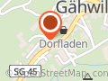 Restaurant Traube Gaehwil
