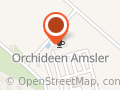 Orchideen Amsler RA- Orchid GmbH