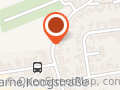 Sängerin Karina - Hochzeitssängerin