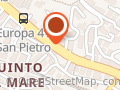 Api di Rapetti Roberto