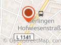Junge Gerlinger