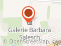 Galerie Barbara Salesch GmbH