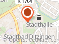 TSF Ditzingen 1893 e.V.