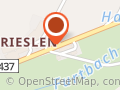 Galerie Dani Steinemann