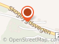 Unge Haugen Ikt