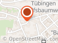 Neckarfloß Tübingen