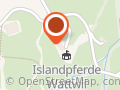 Islandpferde - Wattwil