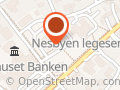 KIWI Nesbyen