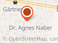 Dr. Med. Agnes Naber
