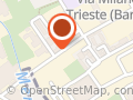 cartess srl