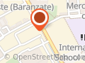 Basf Vernici e Inchiostri SPA