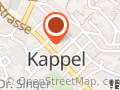 Hotel Traube / Mission-WW - Ebnat-Kappel
