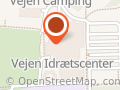 Vejen Piger