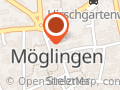 Fliesenleger, isi