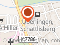 Dr. med. Ulrich Hauser