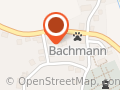 Berner Sennenhunde und Dackel vom Aueteich