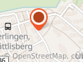 Gin mit Sinn