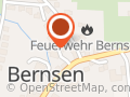 Holstein