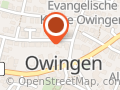 Narrenverein Der Überlinger Löwe e.V.