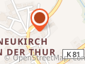Thurkinesiologie