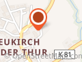 Thurkinesiologie
