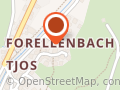 bienen jörger