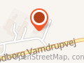 Vejen Dch Hundedressur