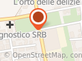 de lorenzo stelio
