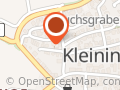 Fugen-Fischer