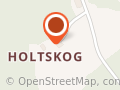 Thorleiv Holtskog
