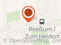 Pudel vom Tulpenbaum
