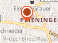 Pfrommer Hannelore