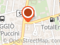 PETtiniamoci toelettatura