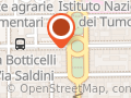 Istituto Ottico Pecoriello SAS