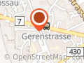Gasser Maler AG