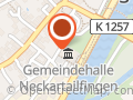 Neckar-Bätscher Guggamusigg Neckartailfingen e.V.