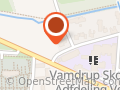Kommunale Tandpleje, Den