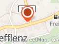 Zum Hirsch (To steki mas)