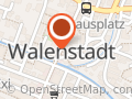 Feuerwehr Walenstadt