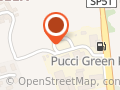 Pucci carwash