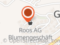 Roos GmbH