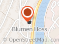 Hoss Volker Blumengeschäft
