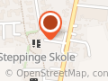 Stepping Friskole