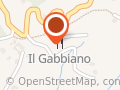 Il Gabbiano