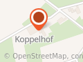 Koppelhof Steinhude