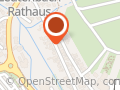 Hundephysiotherapie - Melli’s flotte Pfote