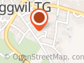 Seagull Consulting AG